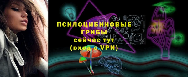 2c-b Пестово