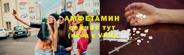 шишки Пересвет