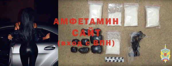 шишки Пересвет