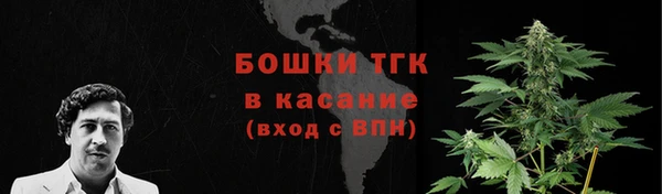 2c-b Пестово