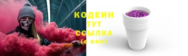 шишки Пересвет