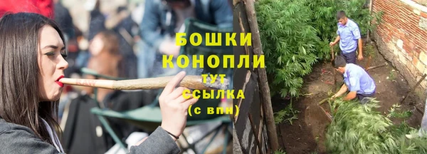 шишки Пересвет