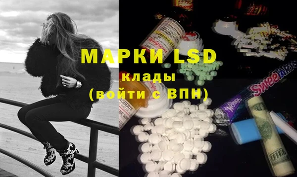 шишки Пересвет