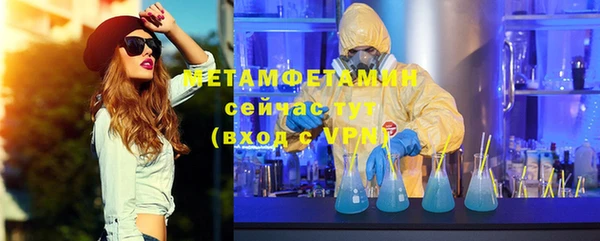 шишки Пересвет