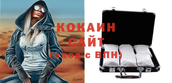 шишки Пересвет