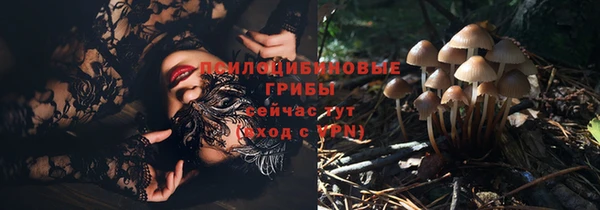 прущая мука Остров