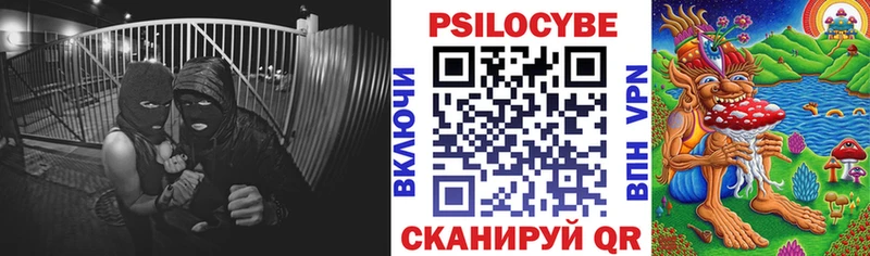 магазин продажи Приозерск Псилоцибиновые грибы GOLDEN TEACHER