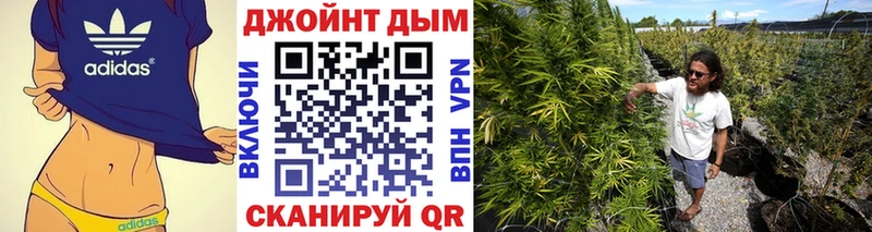 Бошки Шишки MAZAR продажа наркотиков Приозерск